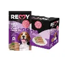 (300 x 300 px) (600 x 600 px) (64).webp