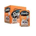 (300 x 300 px) (600 x 600 px) (6).webp