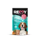 (300 x 300 px) (600 x 600 px) (68).webp